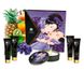 Подарунковий набір Shunga Geishas Secrets – Exotic Fruits для розкішної ночі вдвох SO7823 фото 21
